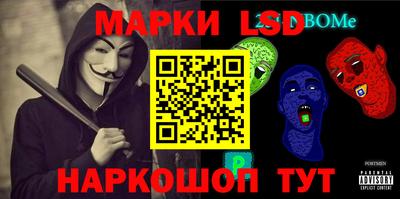 стаф Сланцы