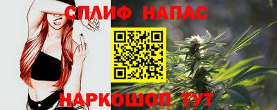 стаф Сланцы