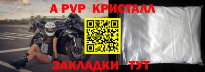 стаф Сланцы