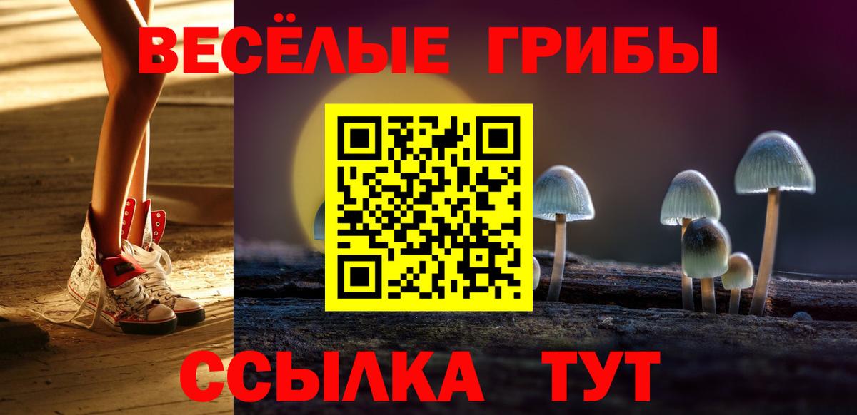 Галлюциногенные грибы мицелий Трёхгорный